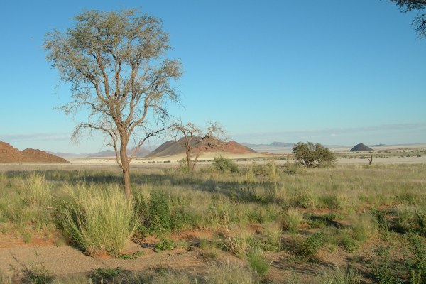 Travel Like a Voluntourist