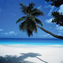 Seychelles beach, Africa