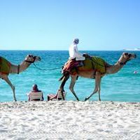 Dubai beach holidays