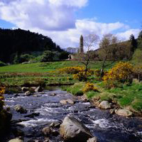 Waterford