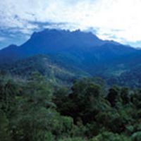 Kota Kinabalu