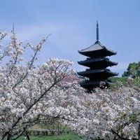 Cheap flights to Osaka from Wellington