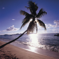 Cheap flights to Fiji from Auckland