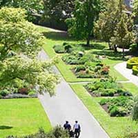Cheap Auckland to Dunedin flights