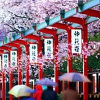 Tokyo