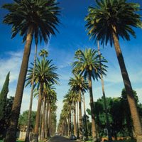Anaheim