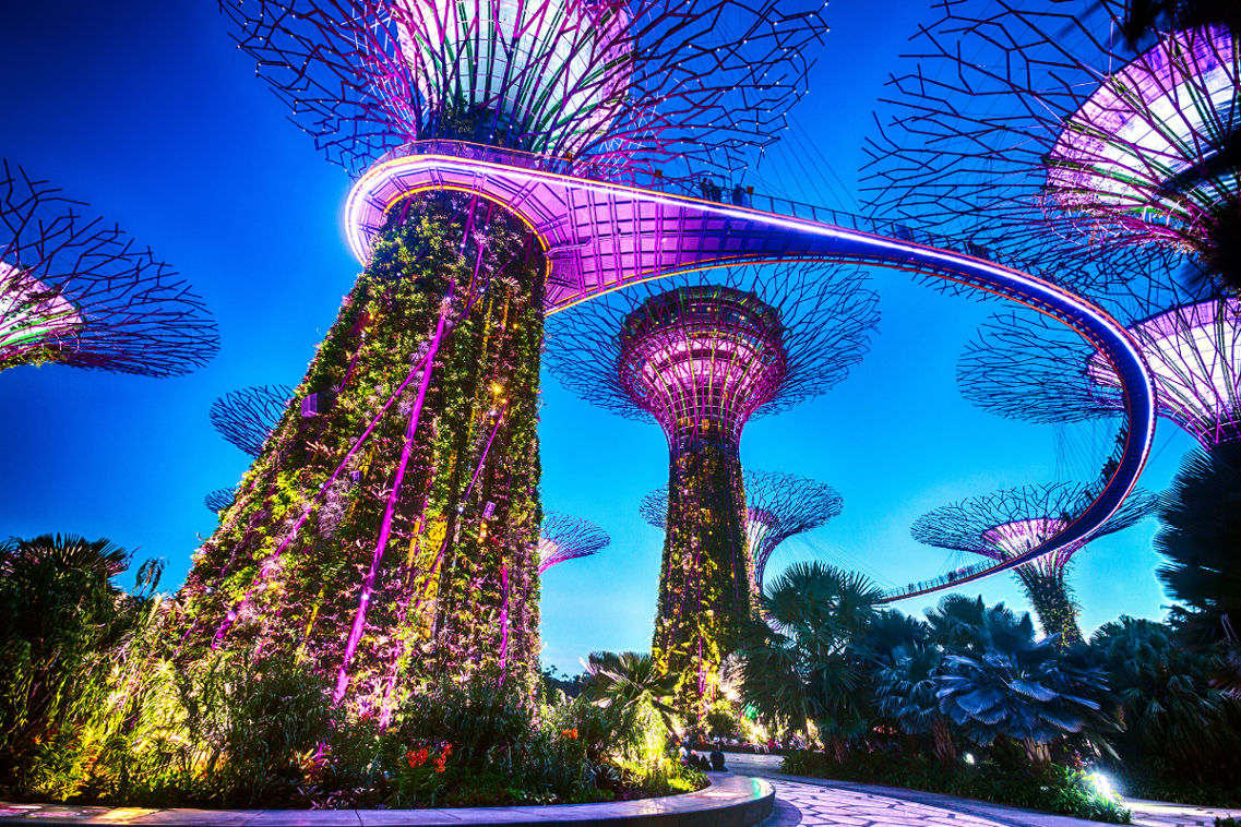Singapore Gardens