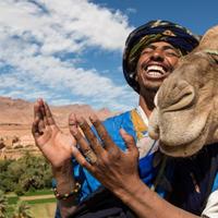 tours to morocco from nz
