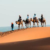 tours to morocco from nz