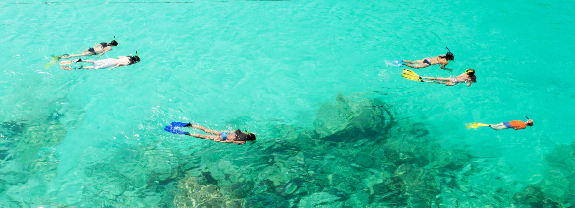 Snorkeling