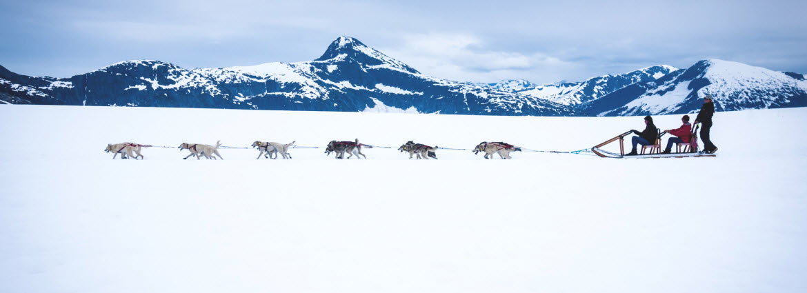 Dog Sledding Alaska