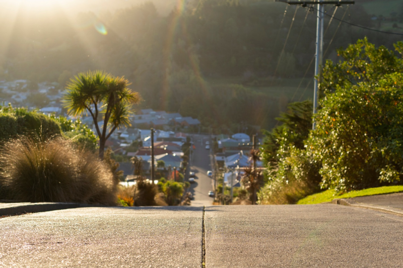 Baldwin Street, Dunedin