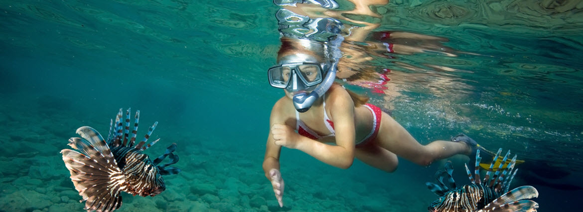 Snorkelling