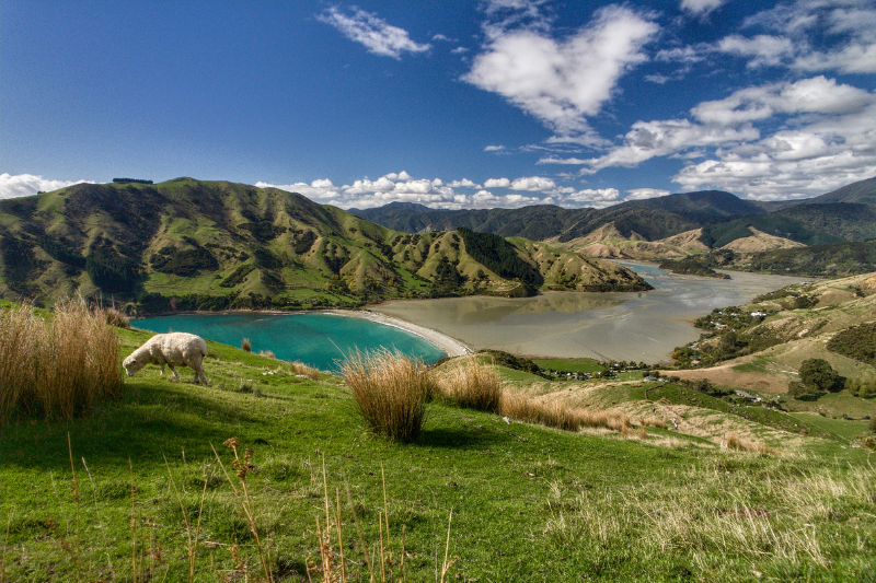 Cable Bay Walkway near Horoirangi Marine Reserve