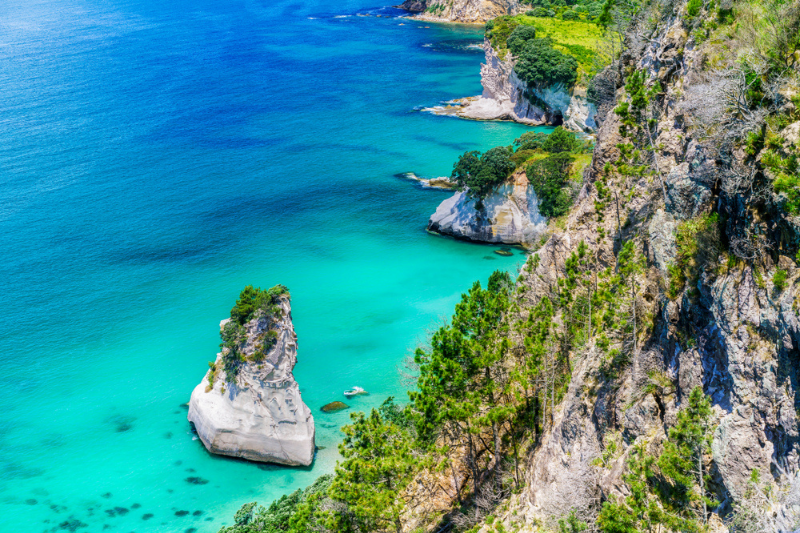 Clifftop view of Cathedral Cove Marine Reserve