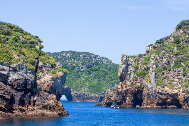 Ocean adventures at Poor Knights Islands