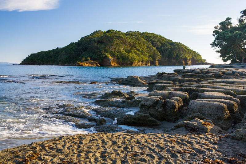 Goat Island Marine Reserve