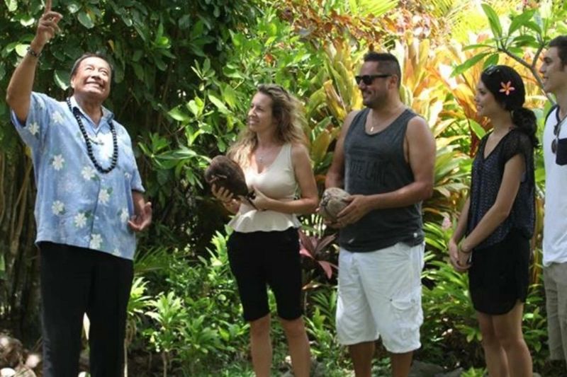 Island Discovery Tour with Raro Tours