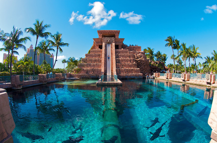 Caribbean 3