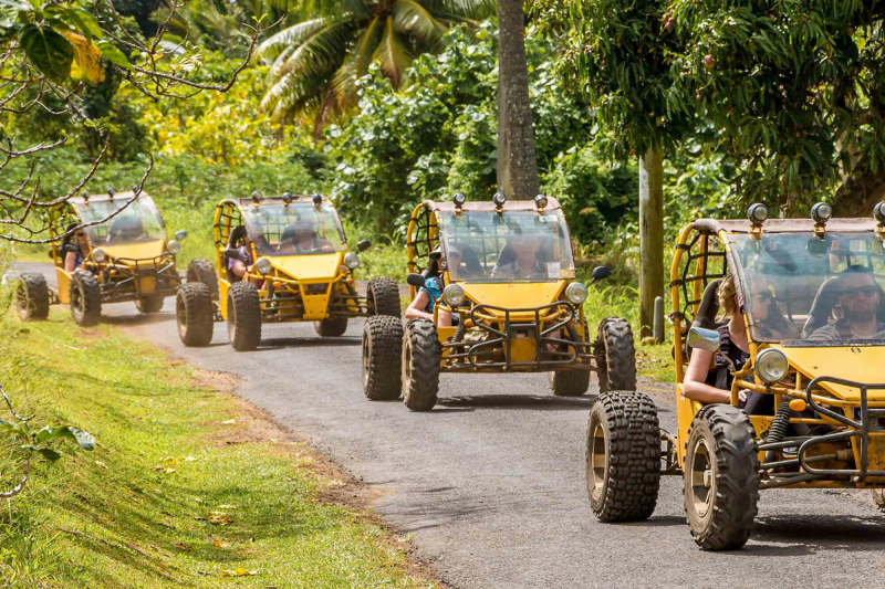 Raro Buggy Tours