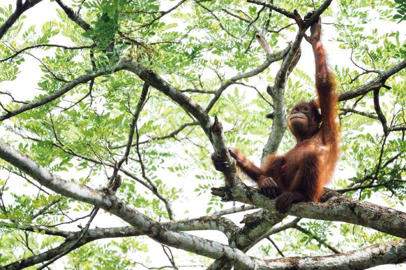 Watch documentaries to discover all corners of the world