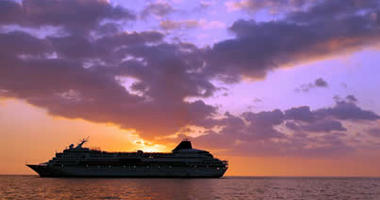 Savour our incredible oceans