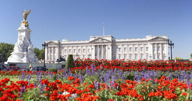 Buckingham Palace in Bloom