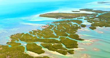 Nearby Florida Keys