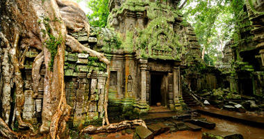 Ta Prohm Temple, Angkor Wat