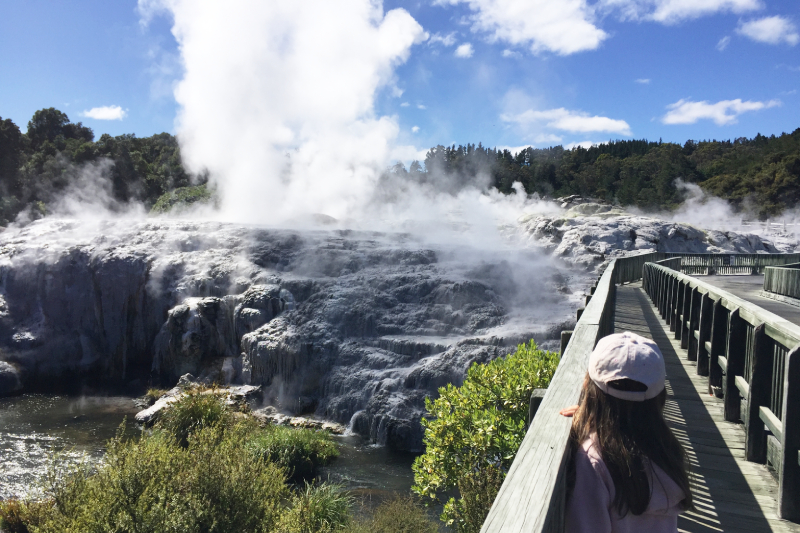 Te Puia geothermal park, Rotorua